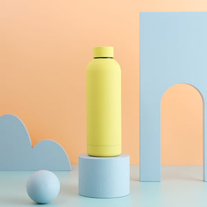 Insulated Water Bottle