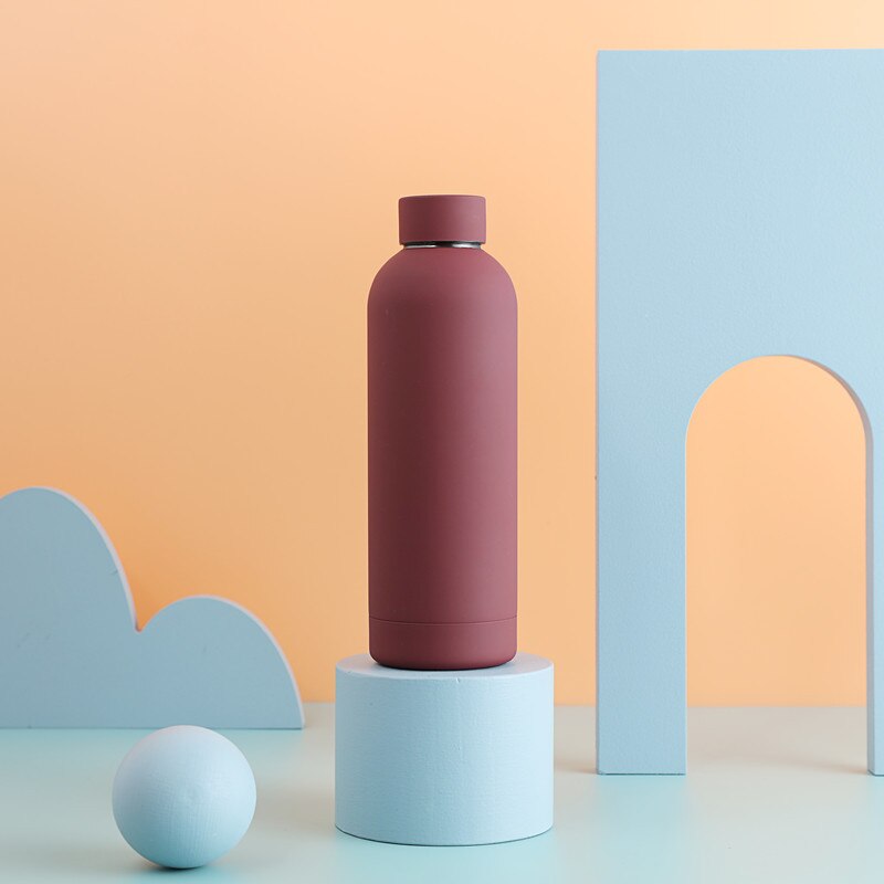 Insulated Water Bottle