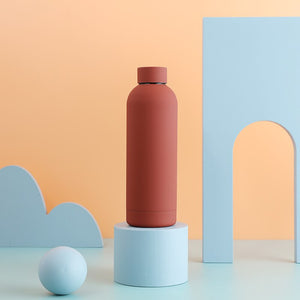 Insulated Water Bottle