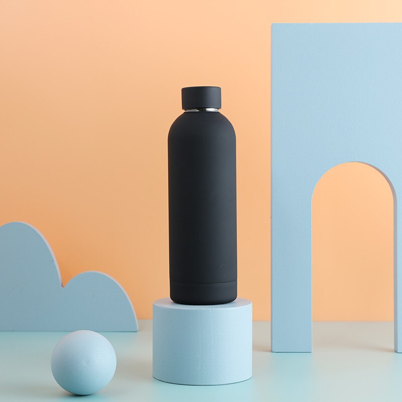 Insulated Water Bottle