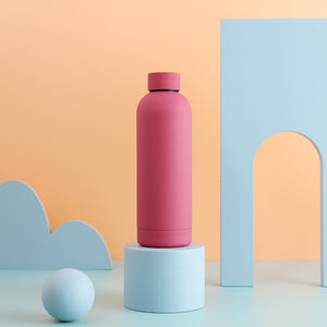 Insulated Water Bottle