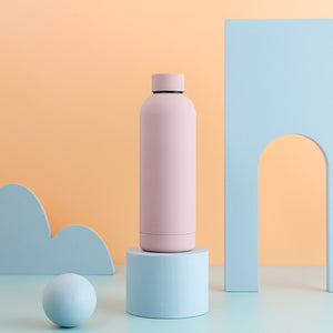 Insulated Water Bottle