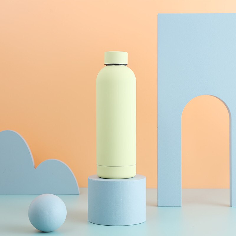 Insulated Water Bottle
