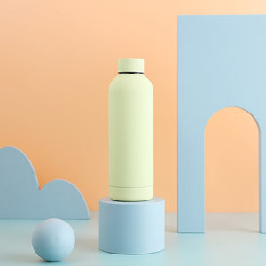 Insulated Water Bottle