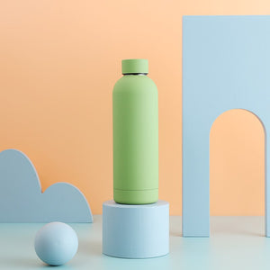 Insulated Water Bottle