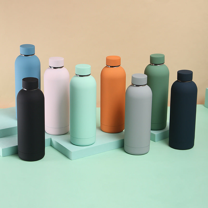 Insulated Water Bottle