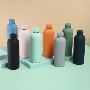 Insulated Water Bottle