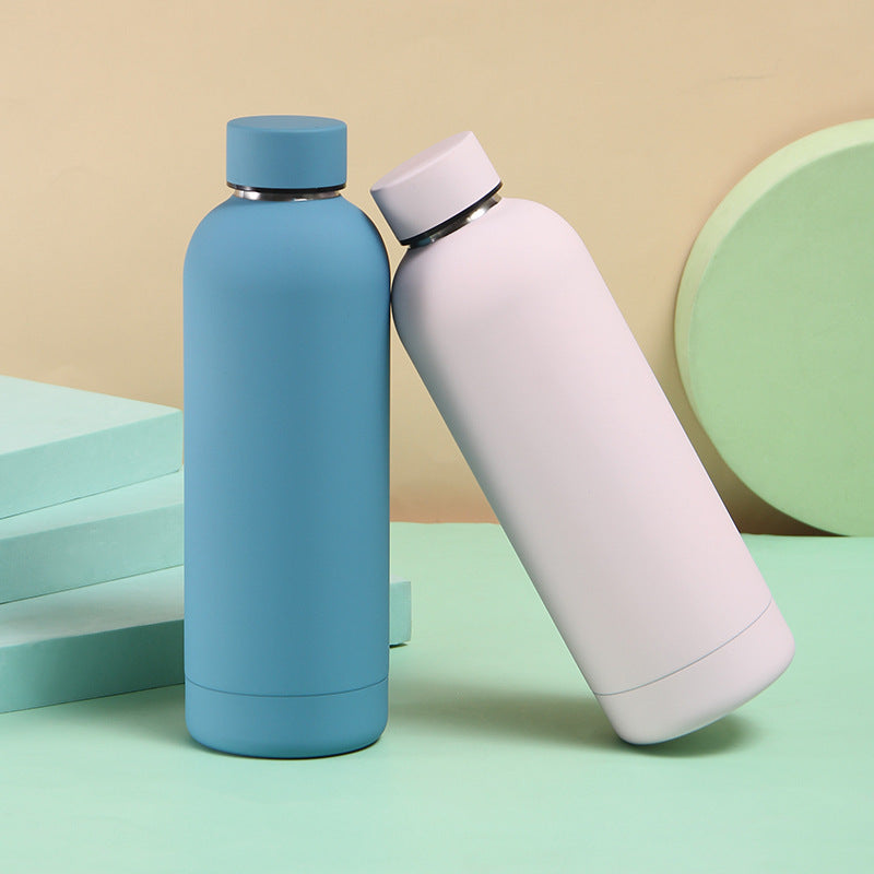 Insulated Water Bottle